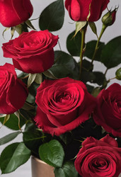 Similar image 22336747