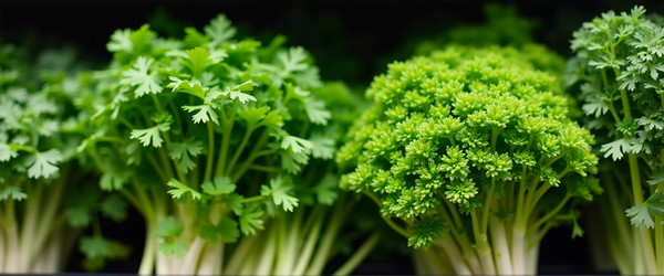 Similar image 22336752