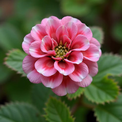 Similar image 22337145