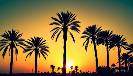 Similar image 22336204