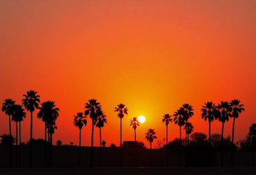 Similar image 22336459