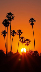 Similar image 22336460