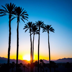 Similar image 22336761