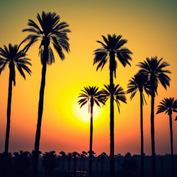 Similar image 22336762