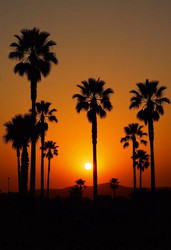 Similar image 22336929