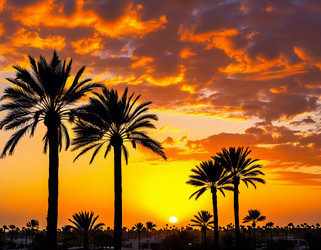 Similar image 22337032