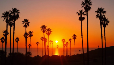 Similar image 22336207