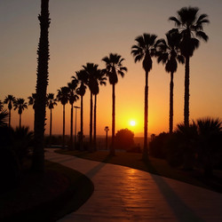 Similar image 22336763