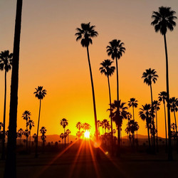 Similar image 22336930