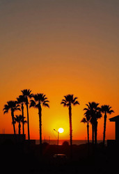 Similar image 22337033