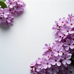 Similar image 22336788