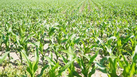 Similar image 22336239