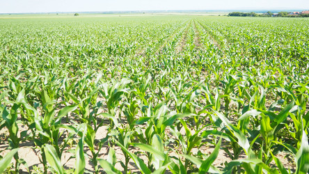 Similar image 22336498