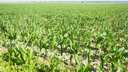 Similar image 22336806