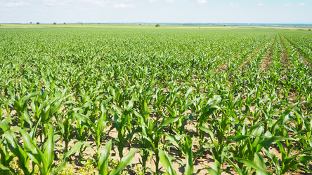 Similar image 22336807