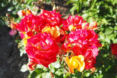 Similar image 22336808