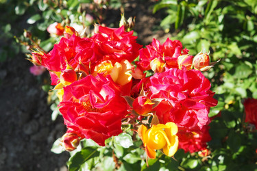 Similar image 22336809