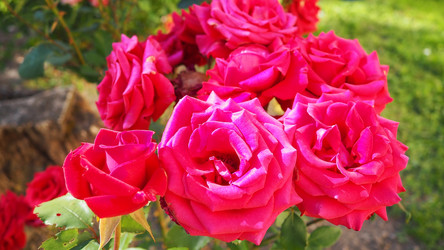 Similar image 22336810