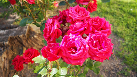 Similar image 22336811