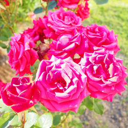 Similar image 22336812