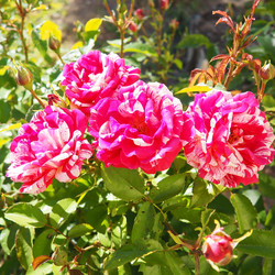 Similar image 22337052