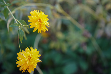 Similar image 22334316