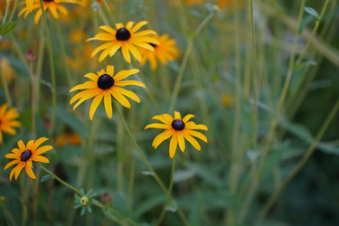 Similar image 22334318