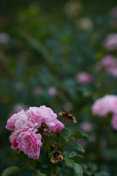 Similar image 22334319