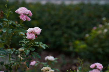 Similar image 22334320