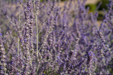 Similar image 22334321