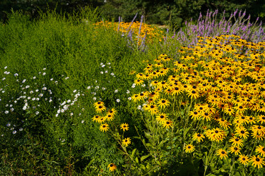 Similar image 22334322