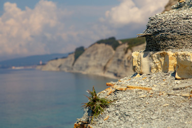 Similar image 22340634