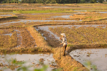 Similar image 22347422