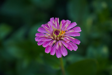 Similar image 22334323