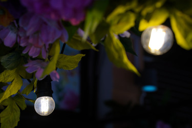 Similar image 22334324