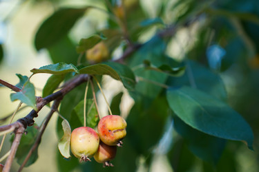 Similar image 22334325