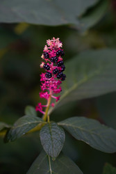 Similar image 22334327