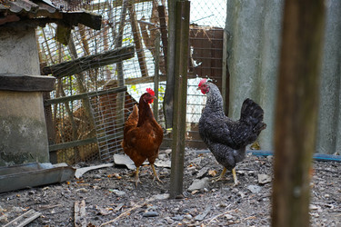 Similar image 22334329