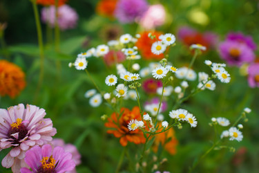 Similar image 22334331