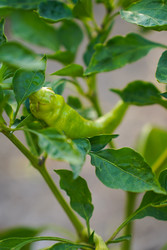 Similar image 22334333