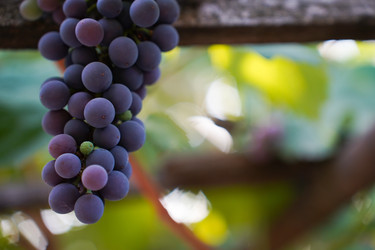 Similar image 22334334