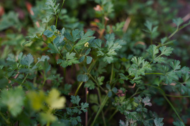 Similar image 22334335