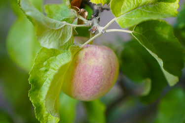 Similar image 22334336