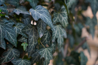 Similar image 22334337