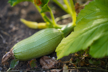 Similar image 22334338