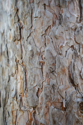 Similar image 22334340