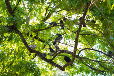 Similar image 22334341