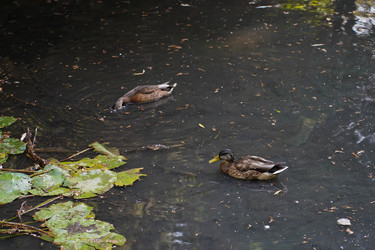 Similar image 22334343