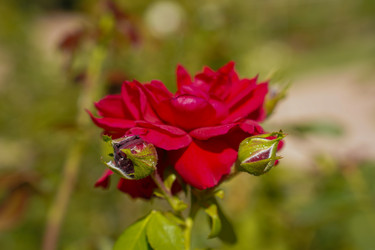 Similar image 22334344