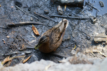 Similar image 22334345